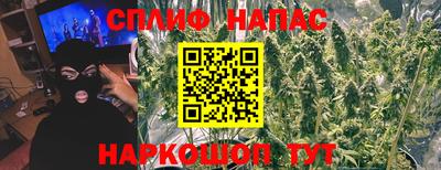 стафф Новодвинск