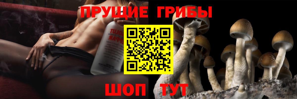 Советск  Галлюциногенные грибы MAGIC MUSHROOMS  Вход с VPN  Галлюциногенные грибы GOLDEN TEACHER 